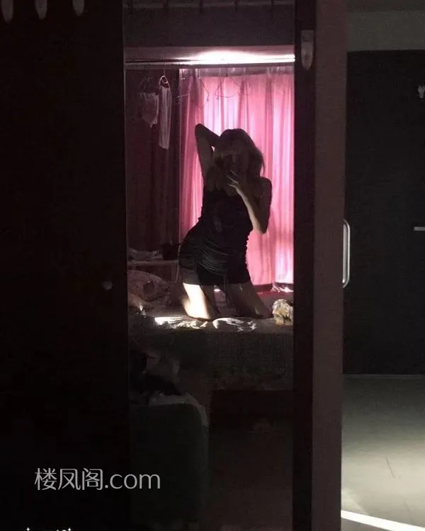 全国免费楼凤资源