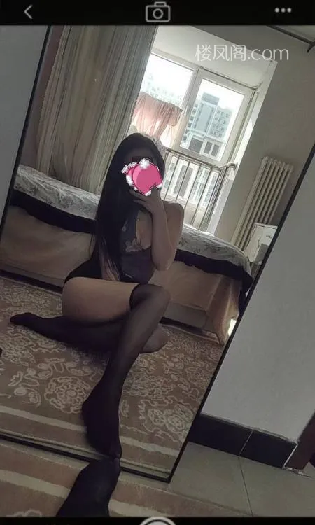 全国免费楼凤资源