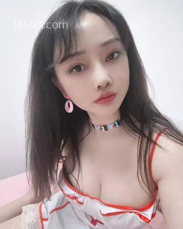 全国免费楼凤资源