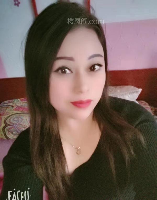 全国免费楼凤资源