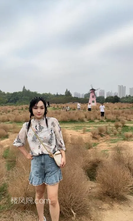 全国免费楼凤资源