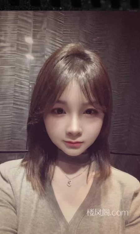 全国免费楼凤资源