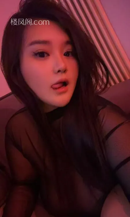 全国免费楼凤资源