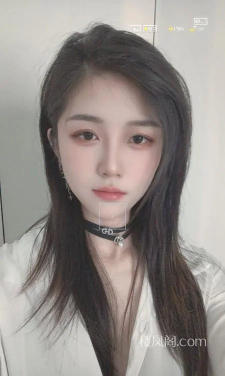 全国免费楼凤资源