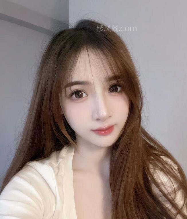 全国免费楼凤资源