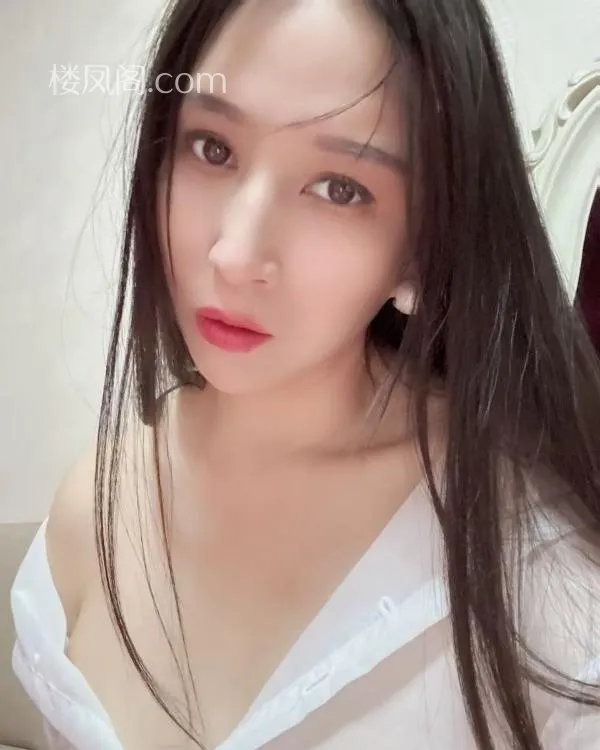 全国免费楼凤资源