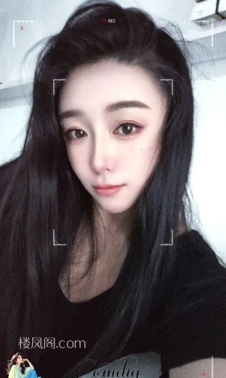 全国免费楼凤资源