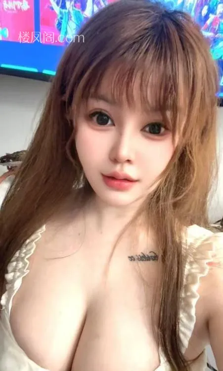 全国免费楼凤资源