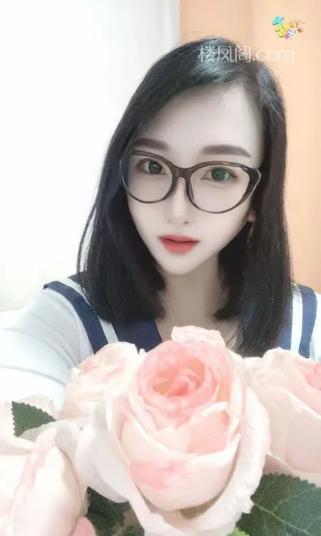 全国免费楼凤资源