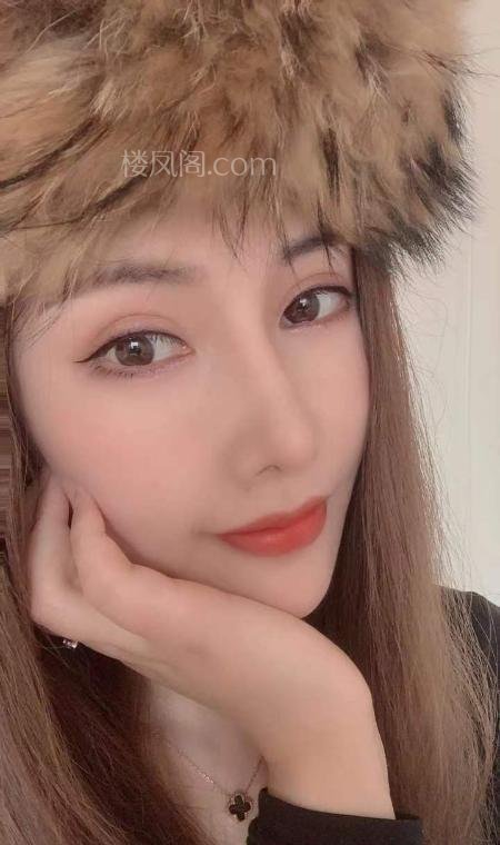 全国免费楼凤资源