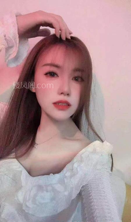 全国免费楼凤资源