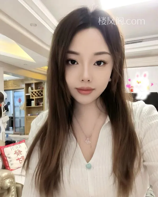 全国免费楼凤资源