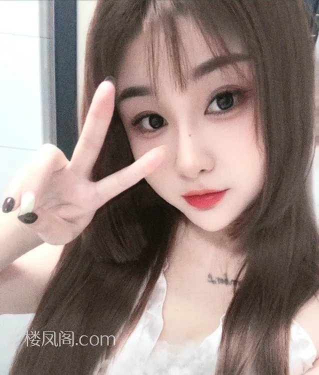 全国免费楼凤资源