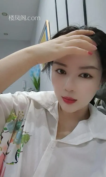 全国免费楼凤资源