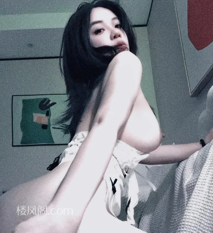 全国免费楼凤资源