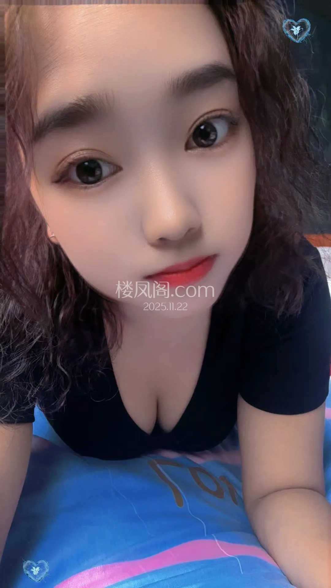 全国免费楼凤资源