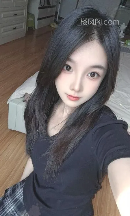 全国免费楼凤资源