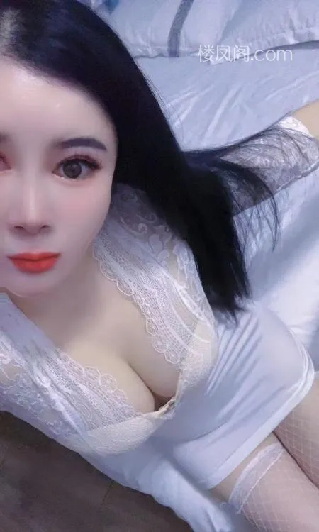 全国免费楼凤资源