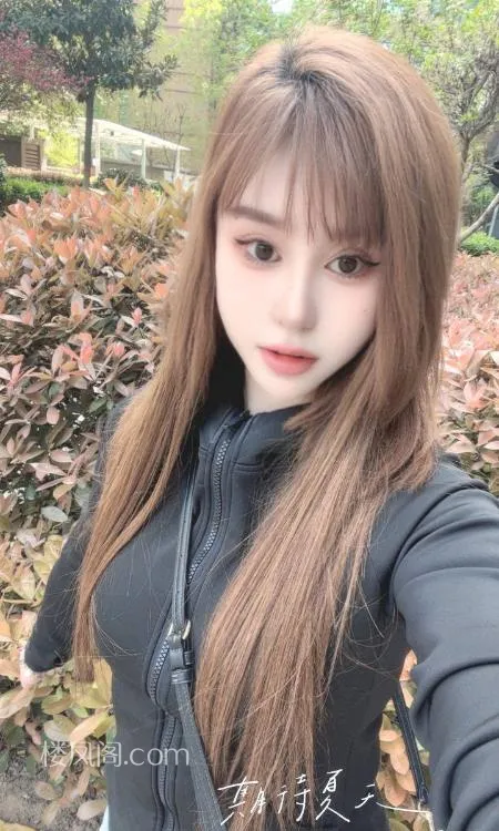 全国免费楼凤资源