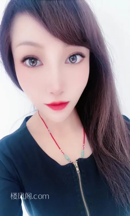 全国免费楼凤资源