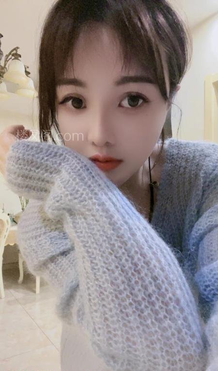 全国免费楼凤资源