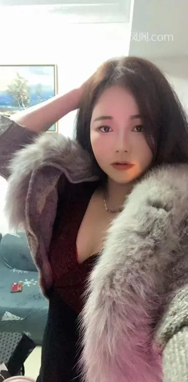 全国免费楼凤资源