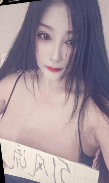 免费楼凤资源