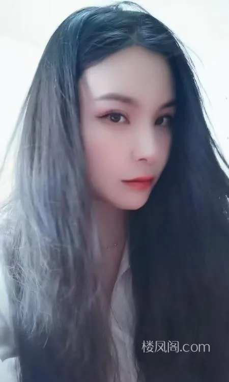 全国免费楼凤资源