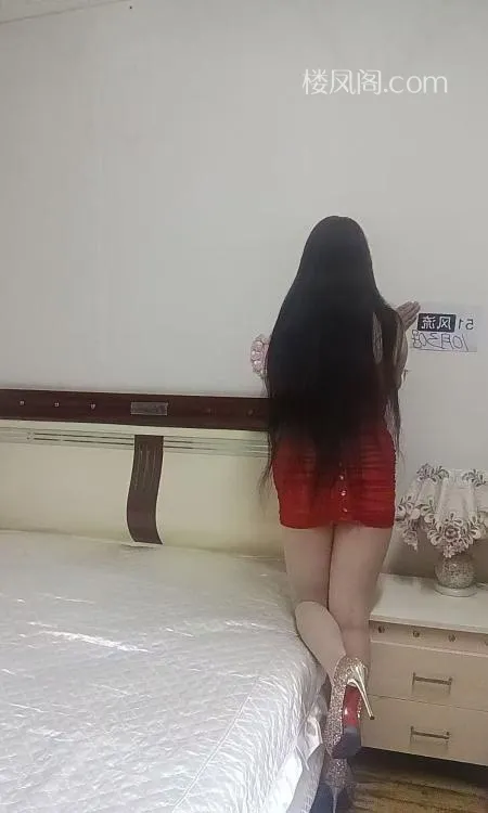 全国免费楼凤资源