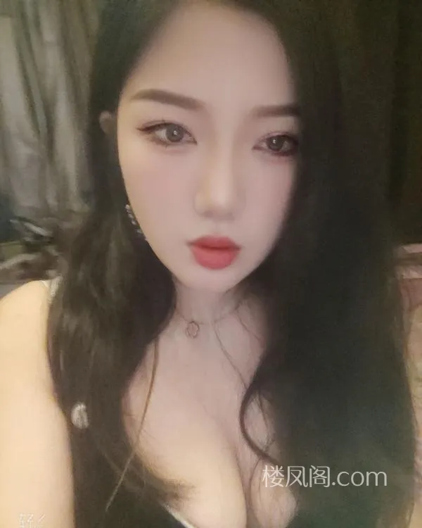 全国免费楼凤资源