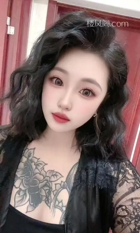 全国免费楼凤资源