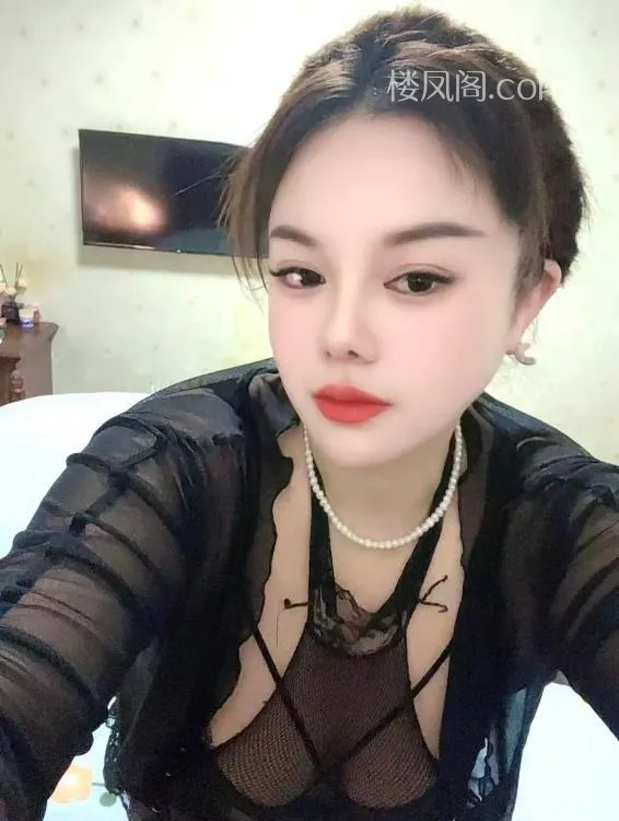 全国免费楼凤资源