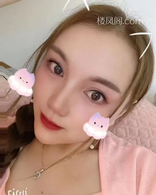 全国免费楼凤资源