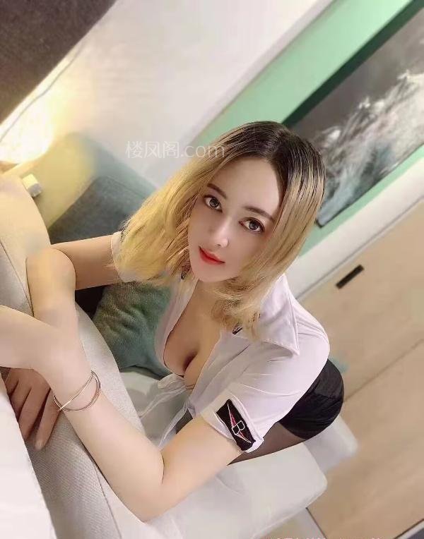 全国免费楼凤资源