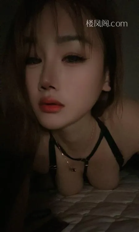 全国免费楼凤资源