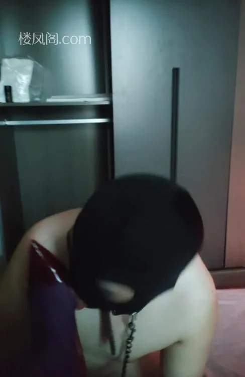 全国免费楼凤资源