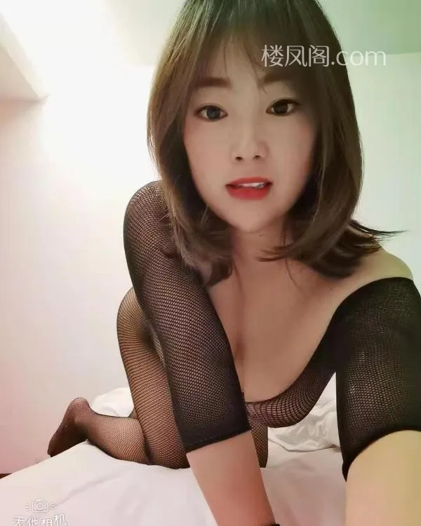 全国免费楼凤资源