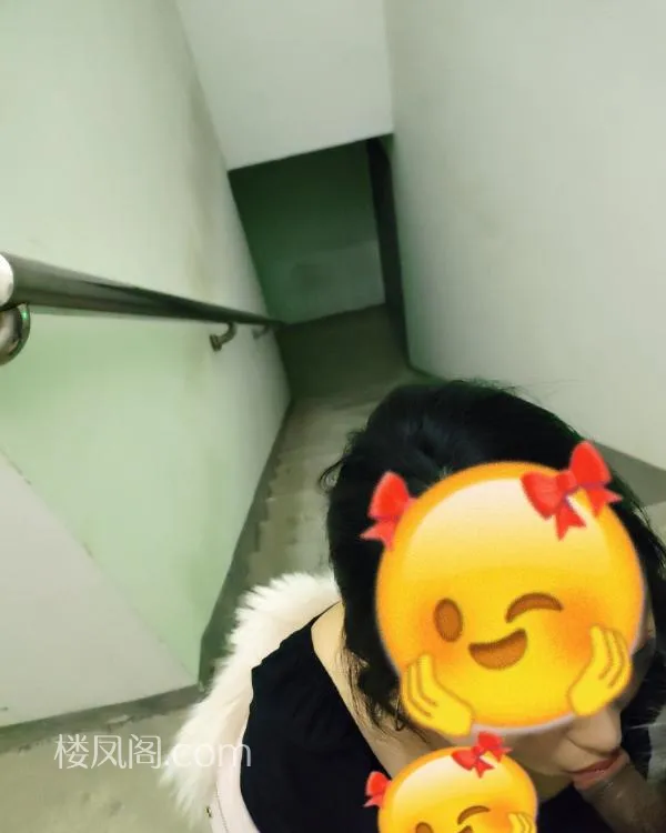 全国免费楼凤资源