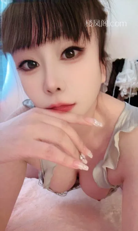 全国免费楼凤资源