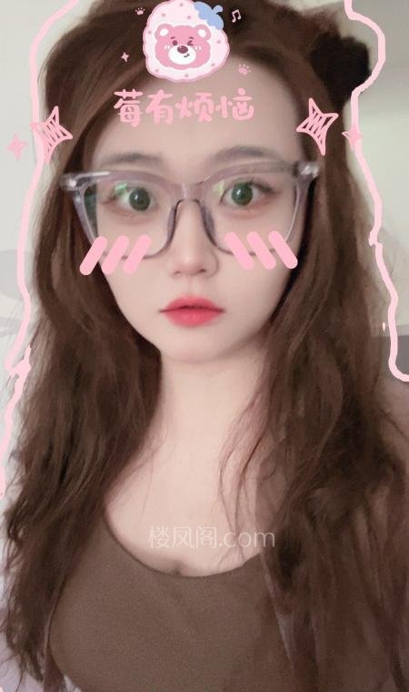 全国免费楼凤资源