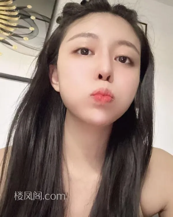 全国免费楼凤资源