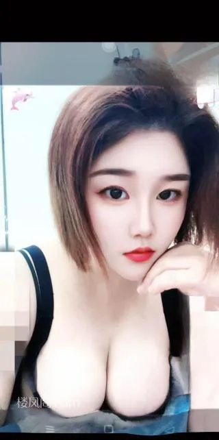 全国免费楼凤资源