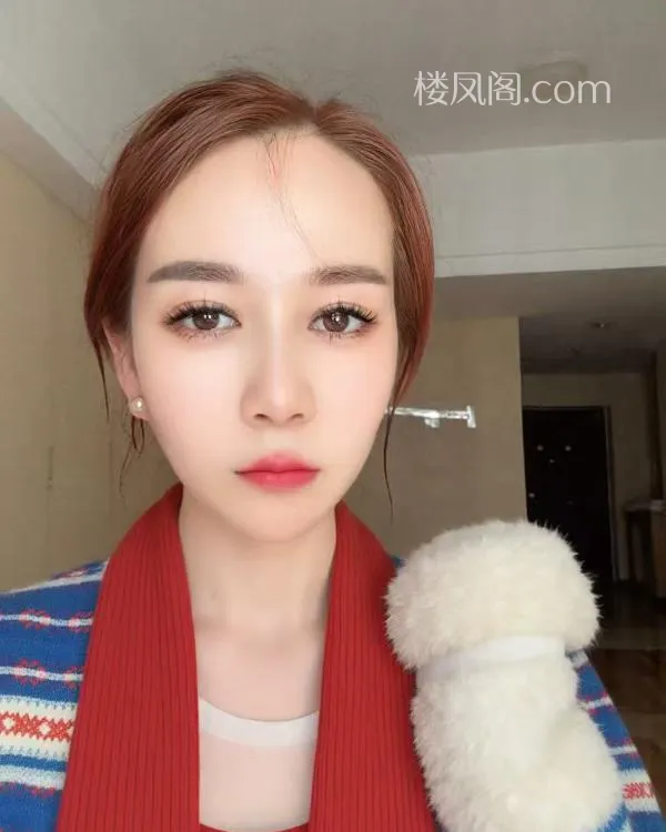 全国免费楼凤资源