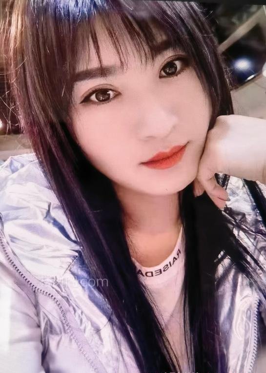 全国免费楼凤资源