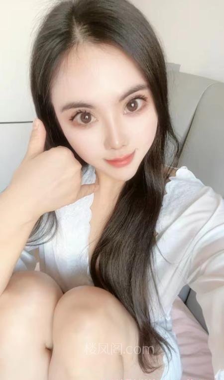 全国免费楼凤资源