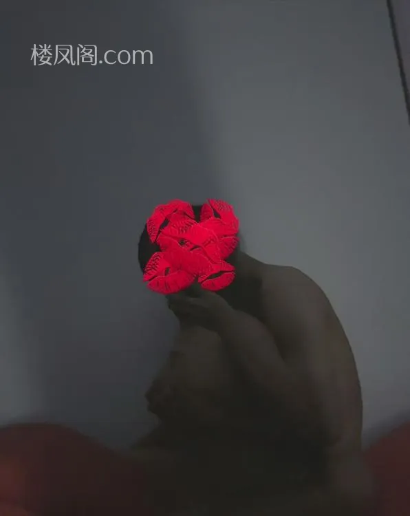 全国免费楼凤资源