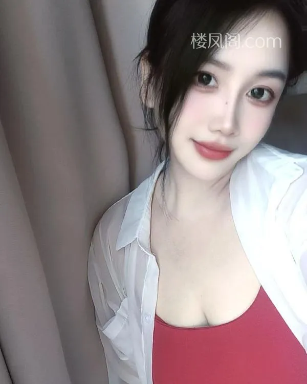 全国免费楼凤资源