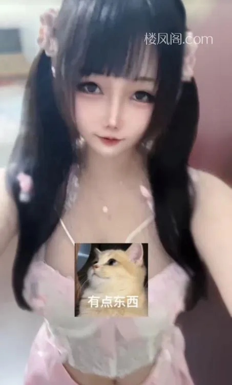 全国免费楼凤资源