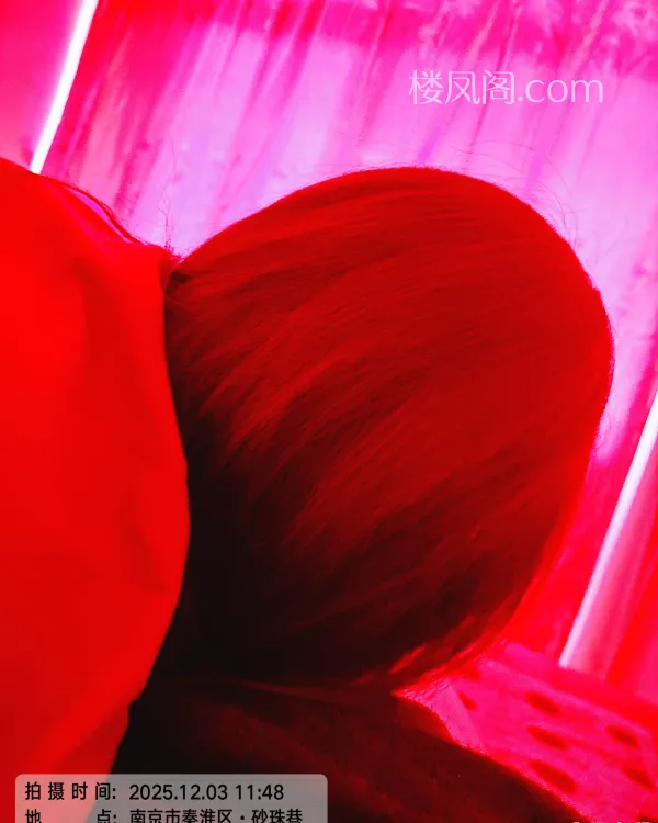 全国免费楼凤资源