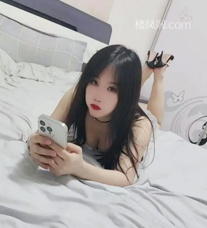 全国免费楼凤资源